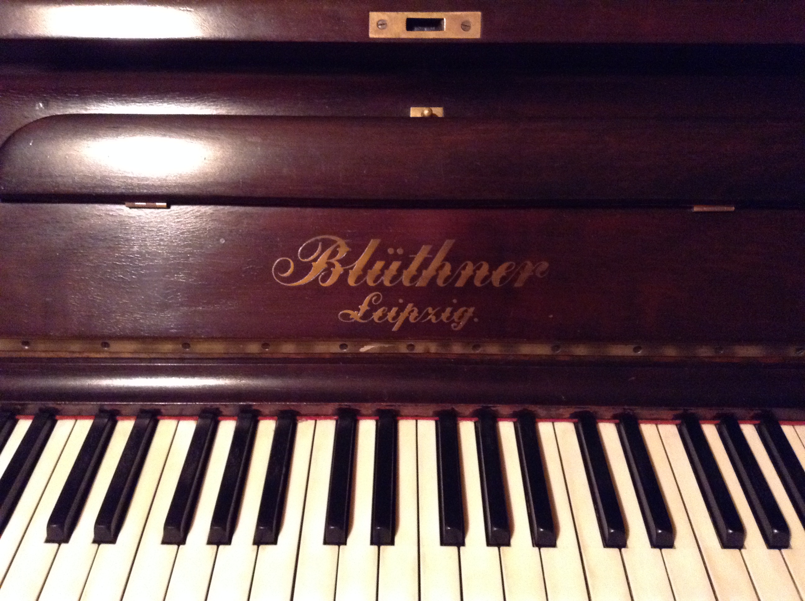 Bluthner Pianos-Pianos for Sale